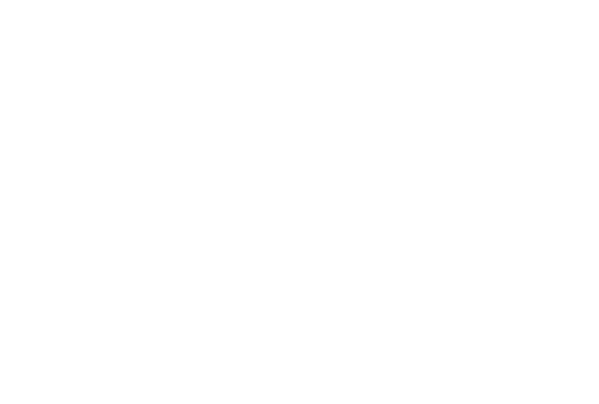 LIR-Logo-White